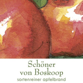 Apfelbrand »Schöner von Boskop« 42 % vol